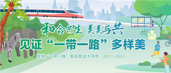 見證“一帶一路”多樣美